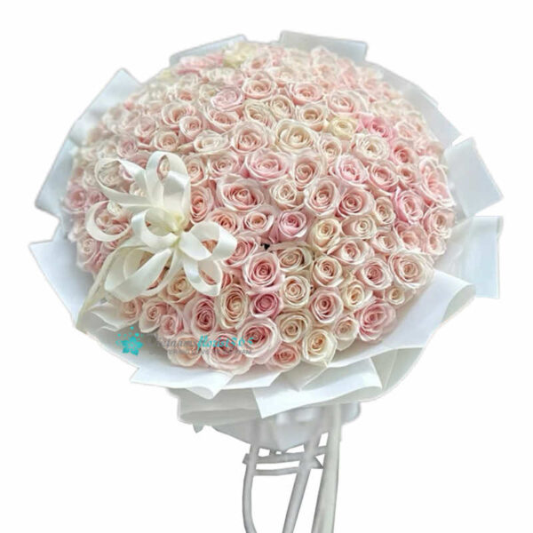 Huge Dose Of Love - 130 Light Pink Roses